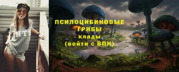 молекула духа Каменск-Шахтинский