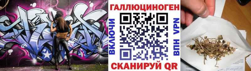 hydra как зайти Октябрьский Галлюциногенные грибы Cubensis