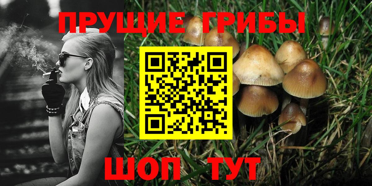 Галлюциногенные грибы GOLDEN TEACHER Октябрьский