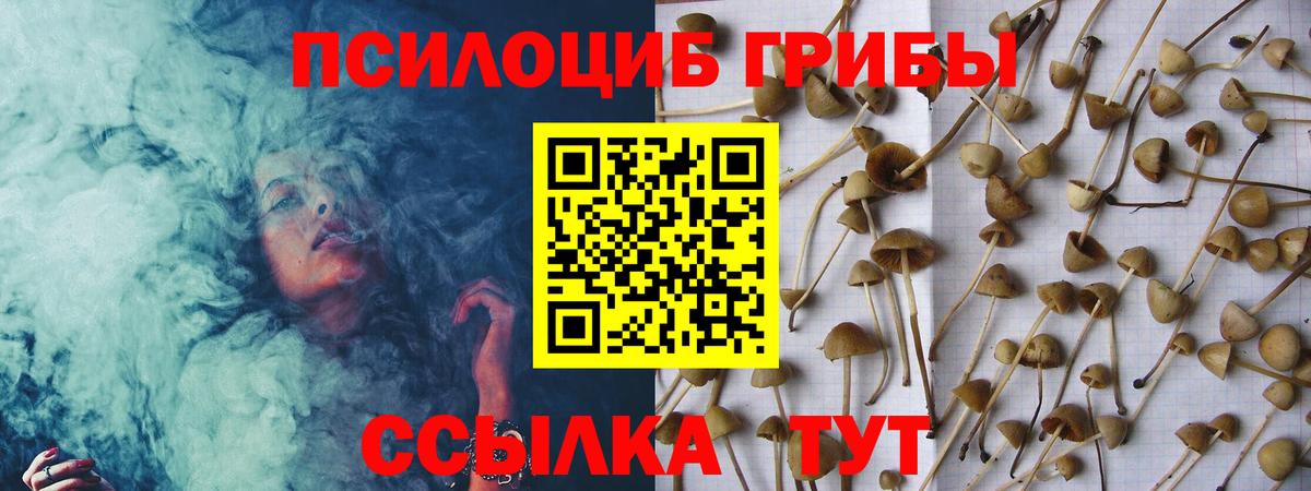 Галлюциногенные грибы GOLDEN TEACHER  магазин продажи   Октябрьский  Вход с VPN 